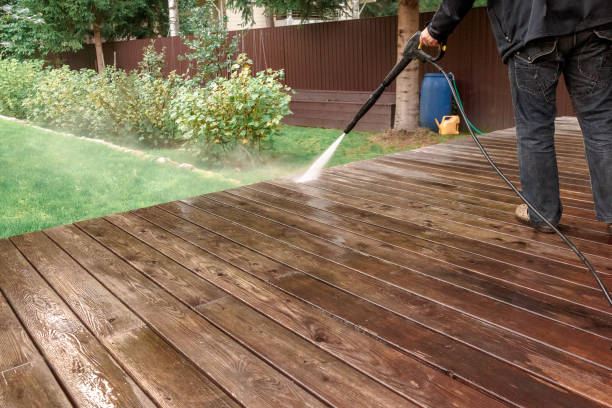  Almont, MI Pressure Washing Pros